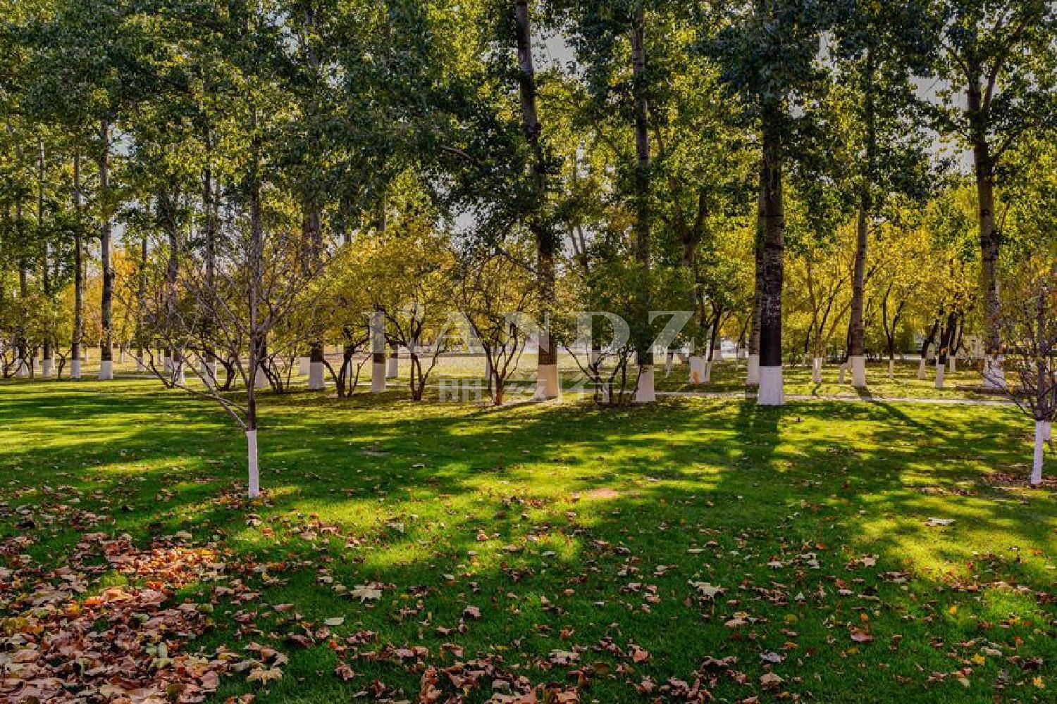 上海亚运新新家园静风园楼盘介绍,亚运新新家园静风园小区二手房,租房